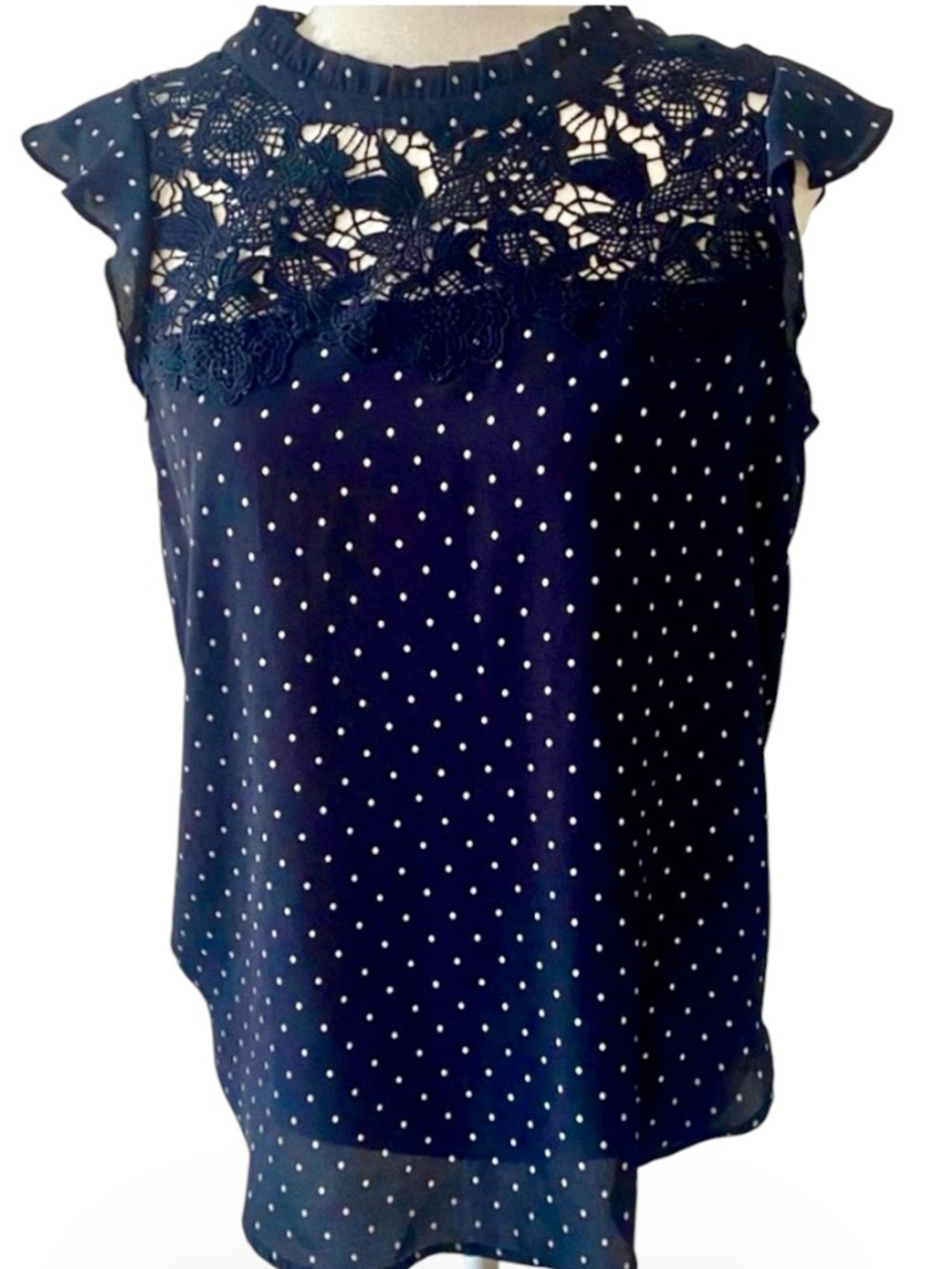 LOFT Navy Polka Dot Floral Lace Blouse Flutter Sleeve Top S